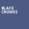 Black Crowes, First Security Amphitheatre, Little Rock